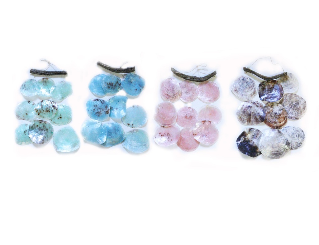 SCACCIAP. LEGNETTO E PLACUNA 4 COL ASS CM 30 