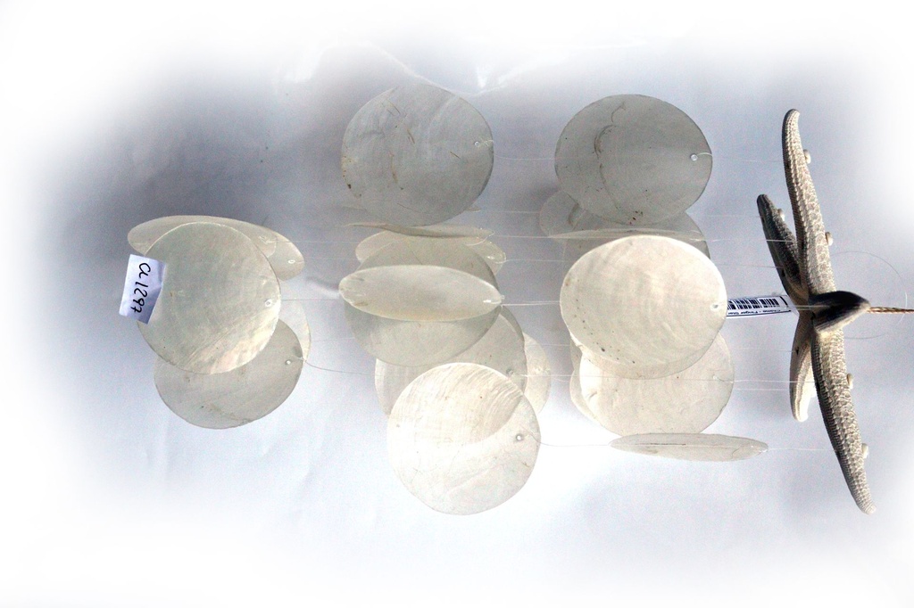 SCACCIAP. STELLA E CAPIZ 3 COL ASS CM 30 