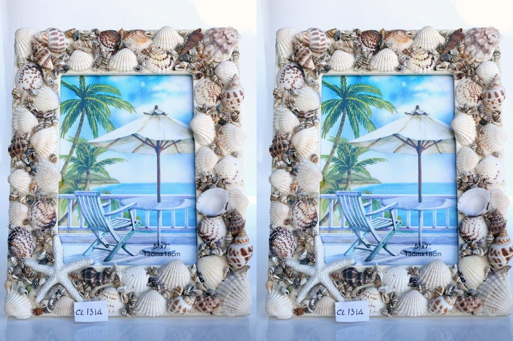 PORTAFOTO CONCHIGLIA CM 19*25 CM 