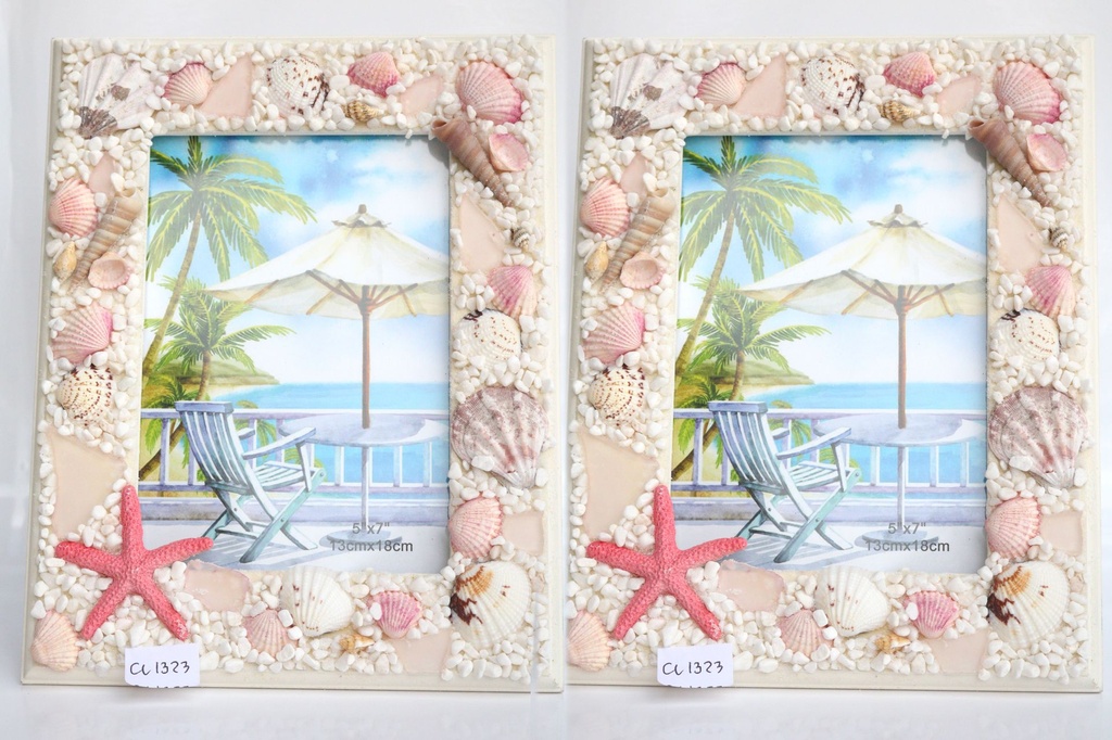 PORTAFOTO CONCHIGLIA CM 19*25 CM 