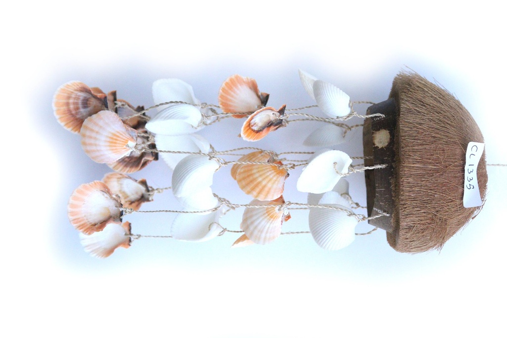 SCACCIAP COCCO C/PELO E FILE PECTEN H 34 CM 