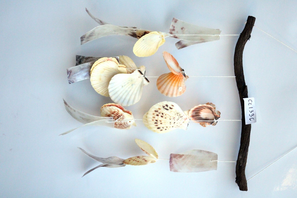 SCACCIAP RAMO LEGNO C/4 FILE PECTEM E PLACUNA H 33 