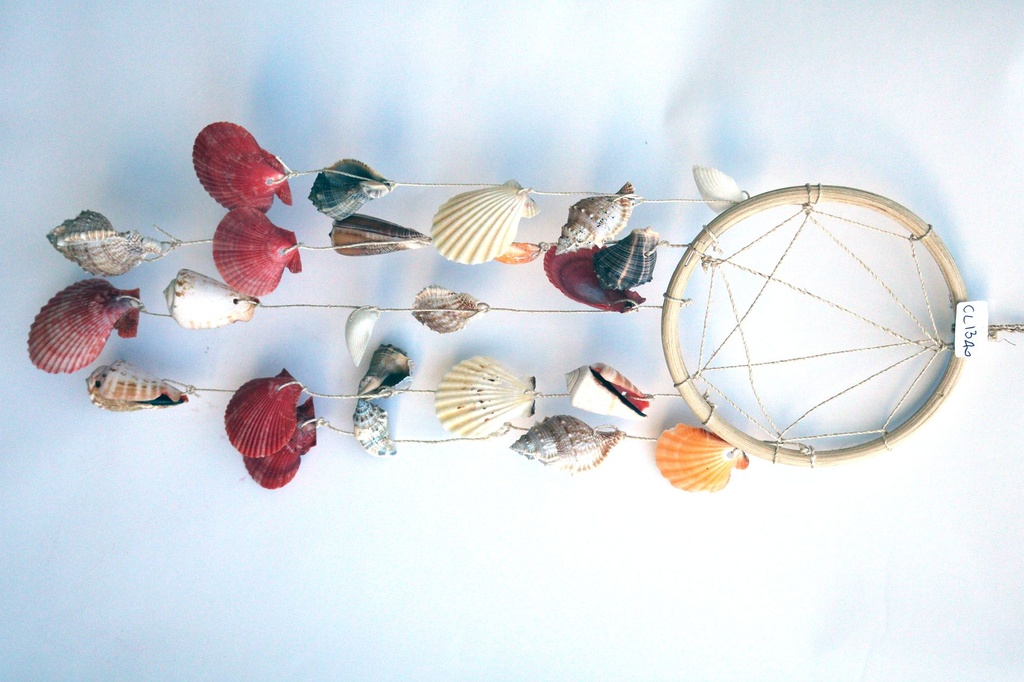 SCACCIAP ACCHIAPPASOGNI RATTAN C/5 FILE CONC 50 CM 