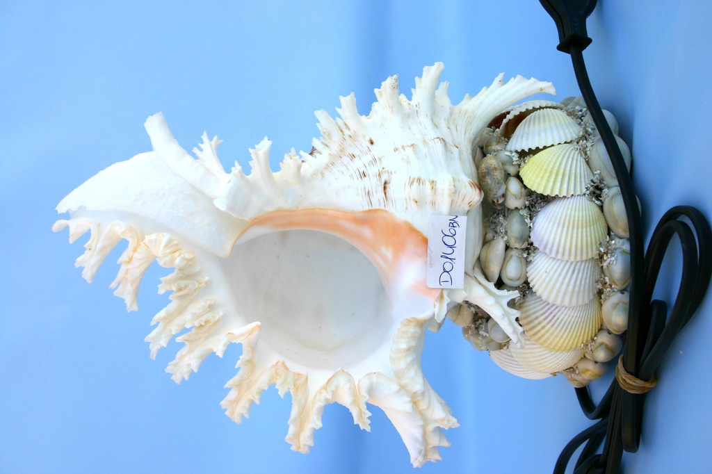 MUREX LUCE BASE CEE CM 24 