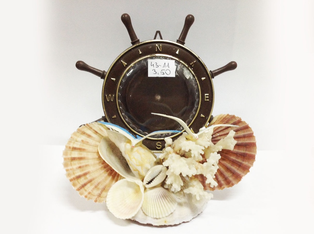 TIMONE MIGNON CONCHIGLIE SU B/CONCHIGLIE CM 21 