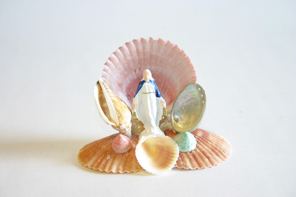 MISTI PECTEN C/BASE 2 PECTEN CM 8*12 