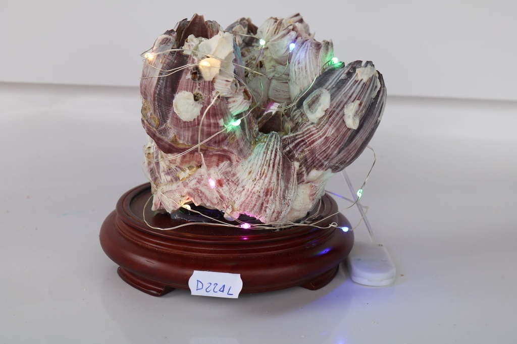 BARNACLE SU BASE LEGNO C/LUCI 