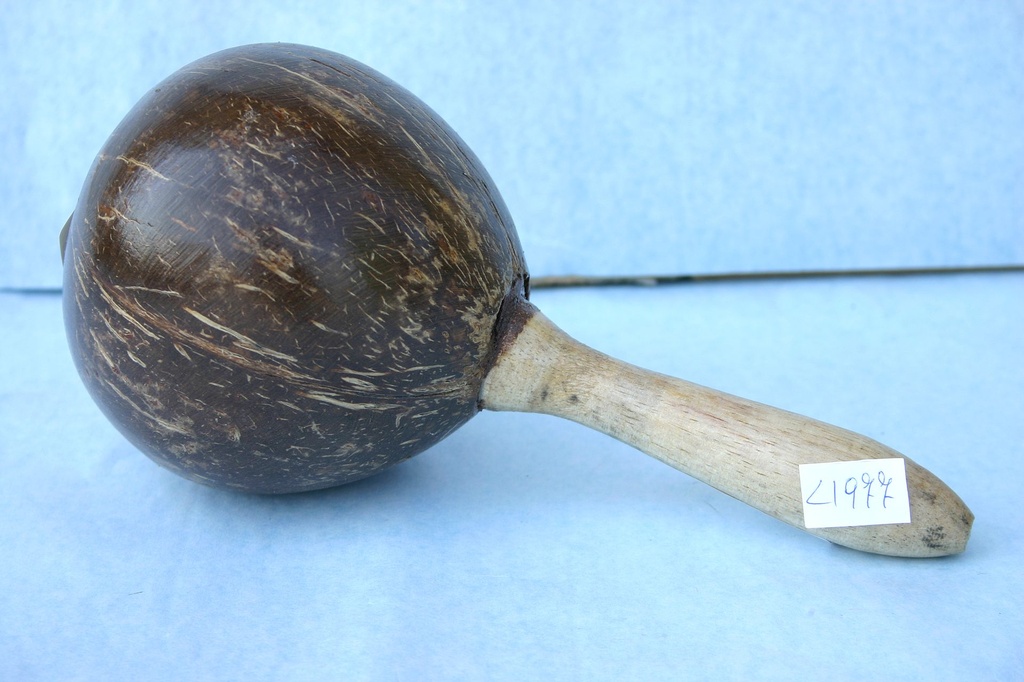 MARACAS COCCO COLORI NATURALI 