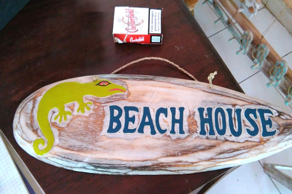 TAVOLA SURF DA APPENDERE GEKO C/SCRITTA CM 16*52 