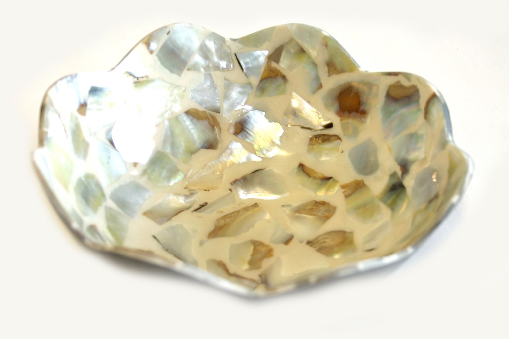 CIOTOLINA CONCH LAM. TROCAS DIAM CM 15.5*6 