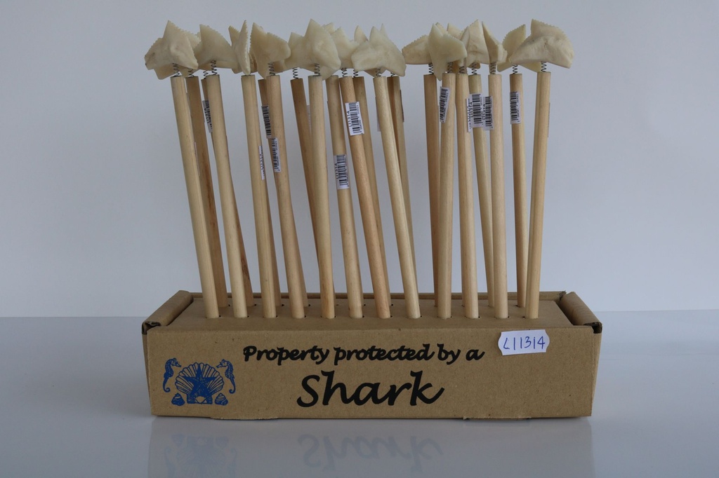 MATITA LEGNO C/DENTE SQUALO IN DISPL. BOX DA 24PCS 