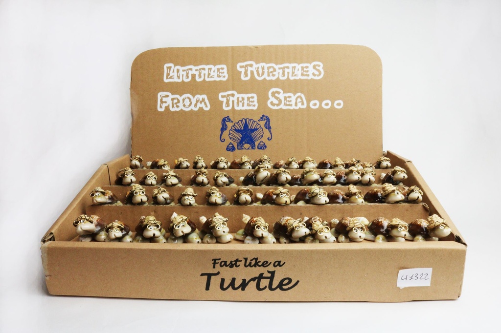 TARTARUGA CAPUT SERPENTIS C/TARGETTINA DISPL 48PCS 