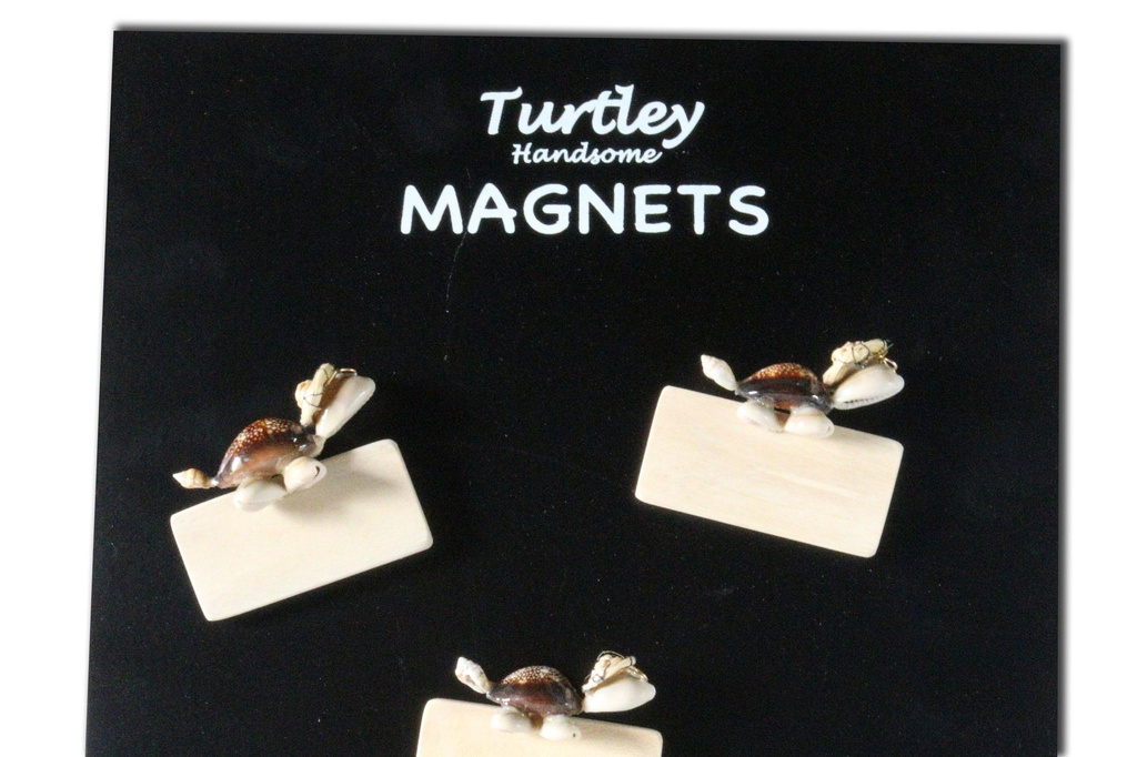 DISPLAY PER MAGNETI LEGNO 