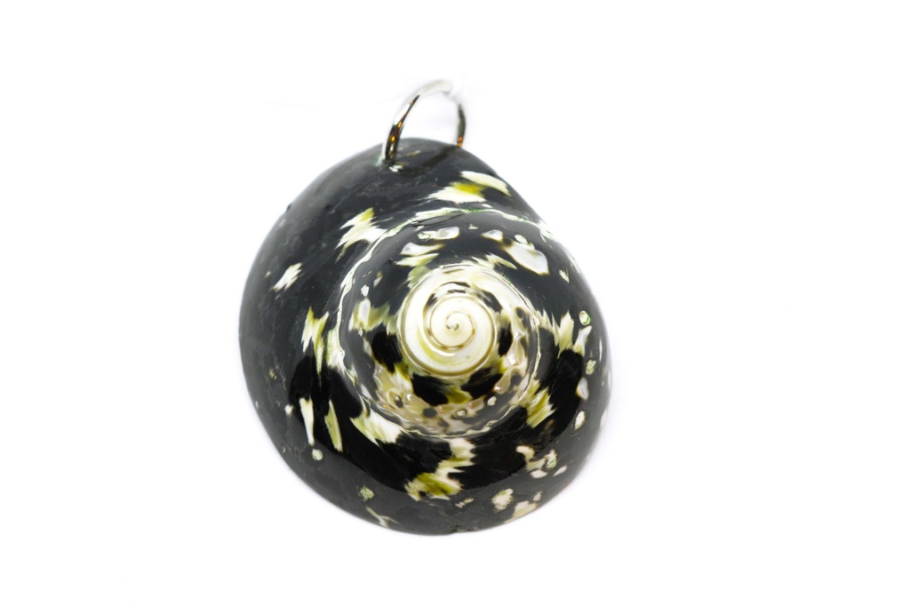 PENDENTI   CONCHIGLIA 