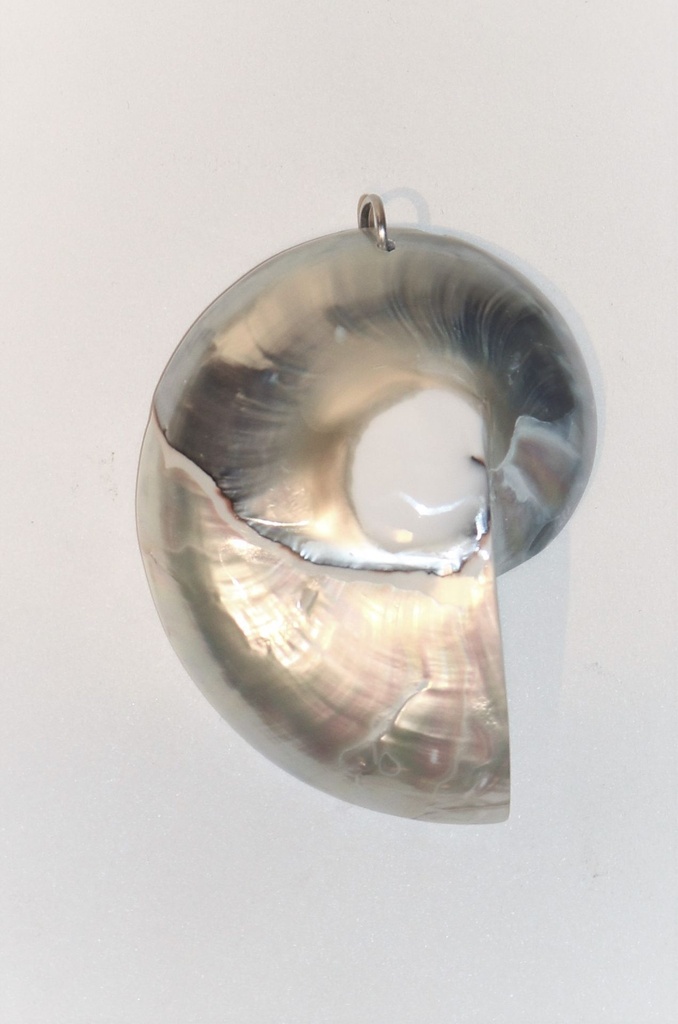 PENDENTI   CONCHIGLIA 