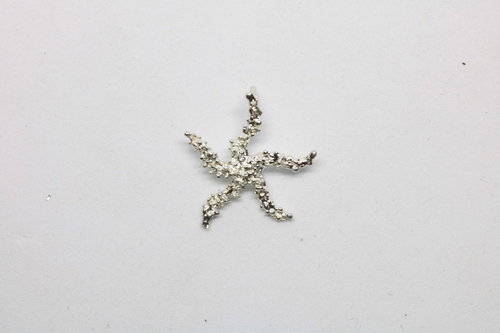 PENDENTI STELLE MARINE 