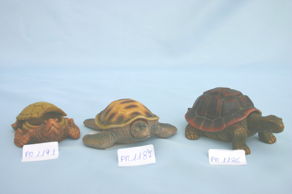 TARTARUGHE MARE DOPPIA RES. c/SCATOLA 4 COL.ASS. 