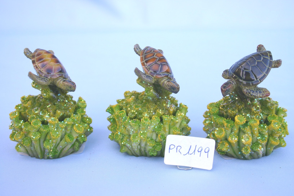 SCATOLA RESINA CORALLO c/TARTARUGA 4 MOD.ASS. 