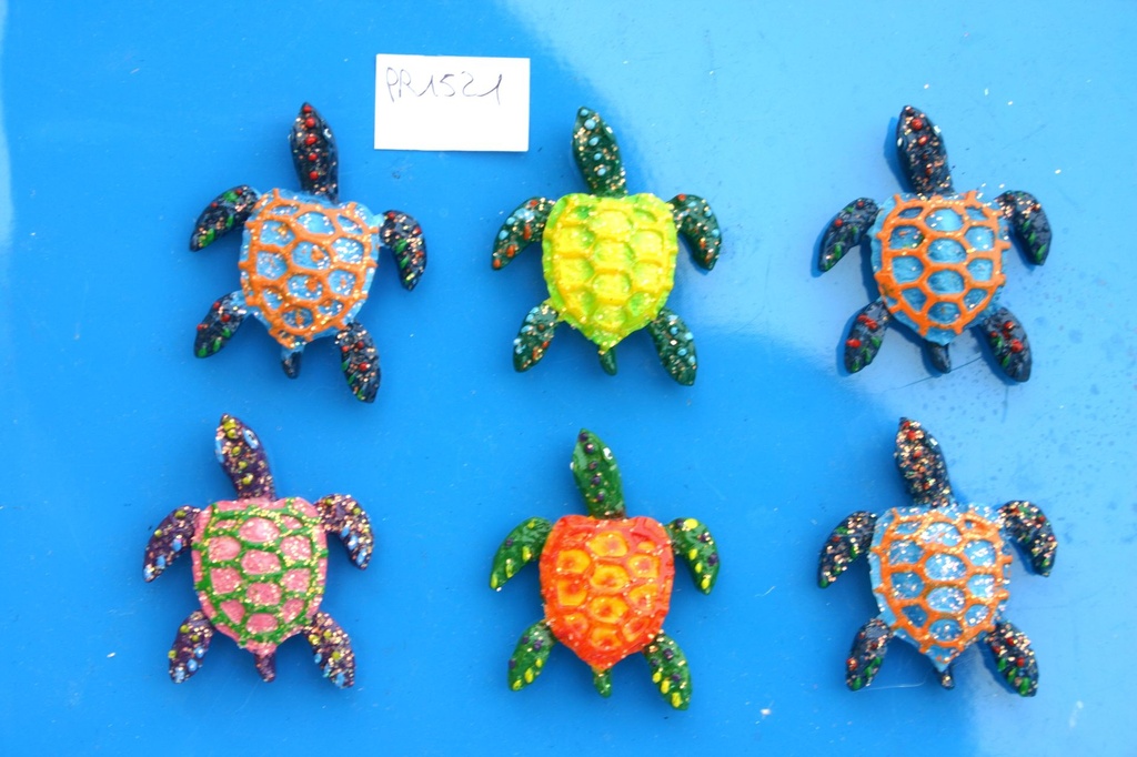 MAGNETE RESINA TARTARUGA BRILLANTINI 2" 