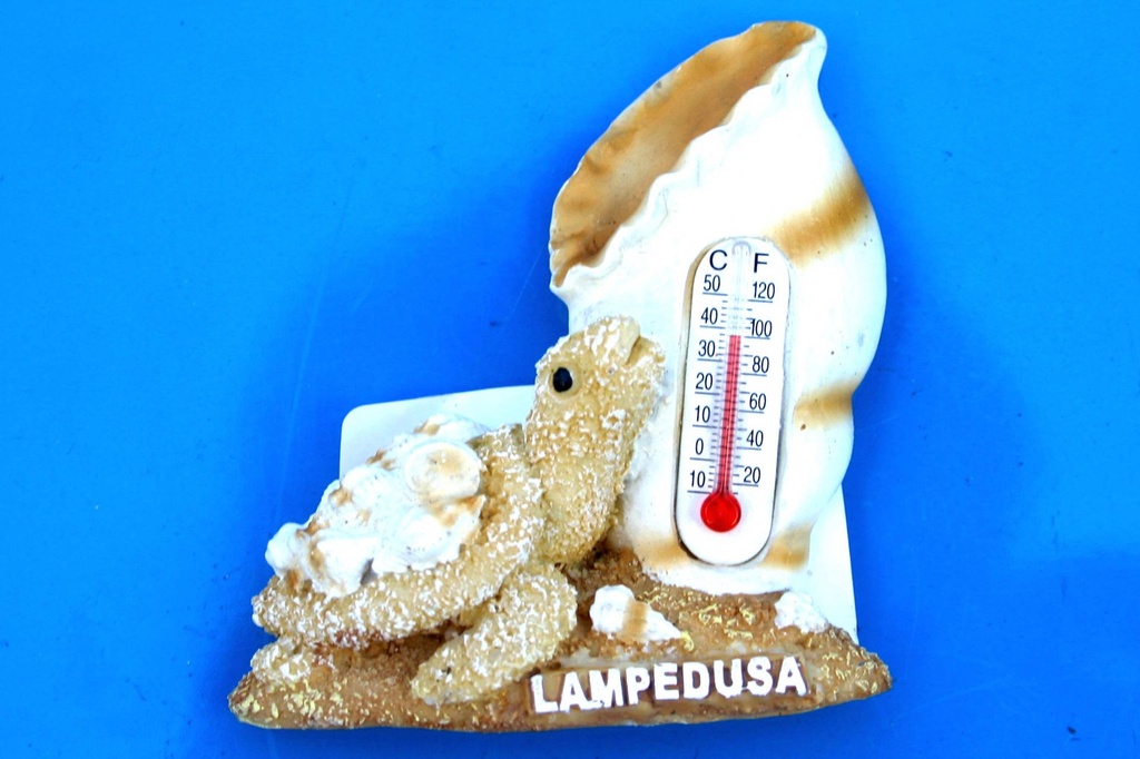 MAGNETI TARTARUGA RES. C/TERMOM."LAMPEDUSA" 4 MOD 