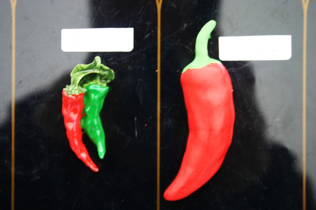 MAGNETE RESINA PEPERONCINO 