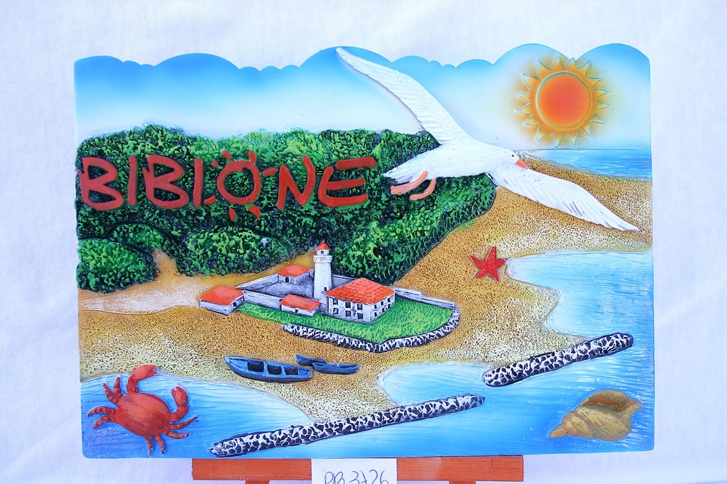 VEDUTA RESINA 5*7 BIBIONE 