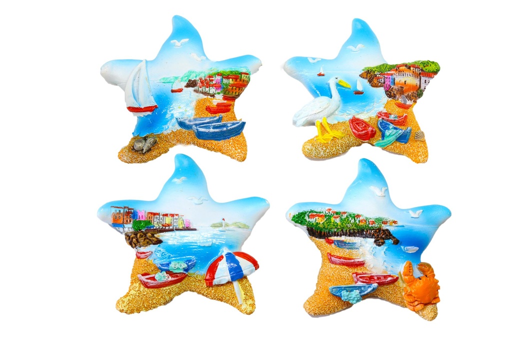 MAGNETE RESINA STELLA VEDUTA 4 MOD ASSTI 