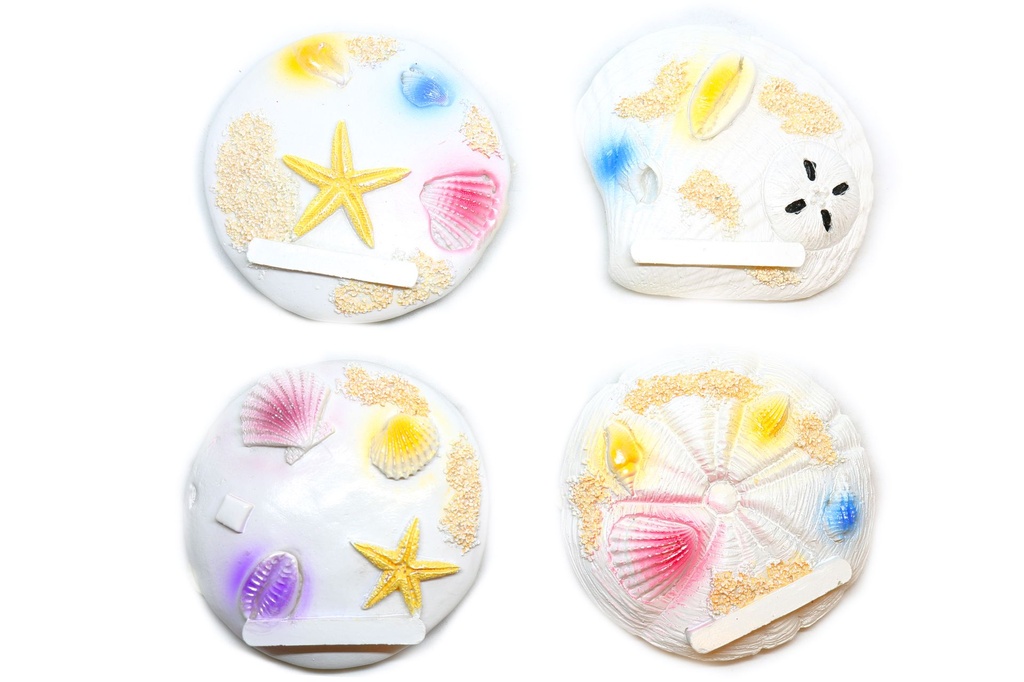 MAGNETE RESINA SASSO C/CONCH 6 MOD ASS 