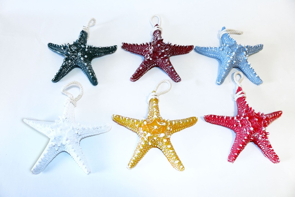 STELLA MARINA RESINA 16 CM 6 COL ASS 