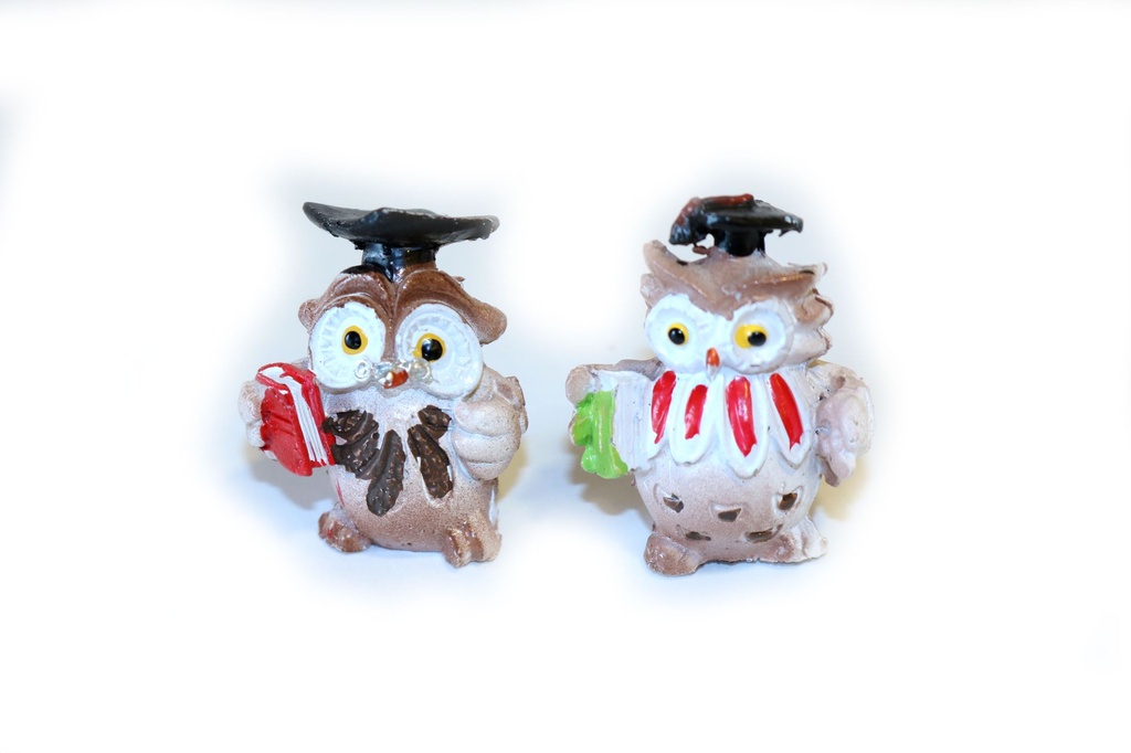 GUFO RESINA 3.8 CM 2 MOD 