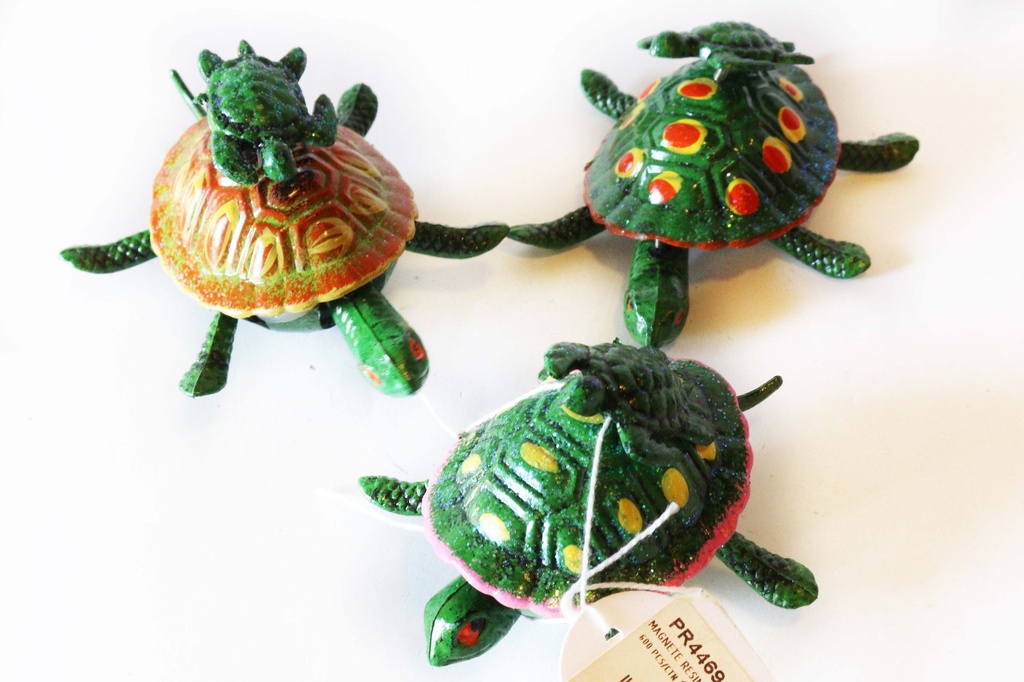 MAGNETE RESINA TARTARUGA ZAMPE 4 COL ASS 