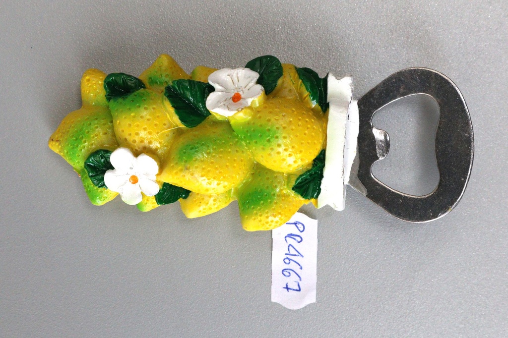 MAGNETE RESINA LIMONI TARGHETTA 
