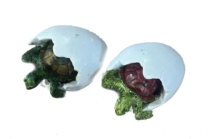 TARTARUGA RESINA SU GUSCIO UOVO GRANDE 3 COL ASS 