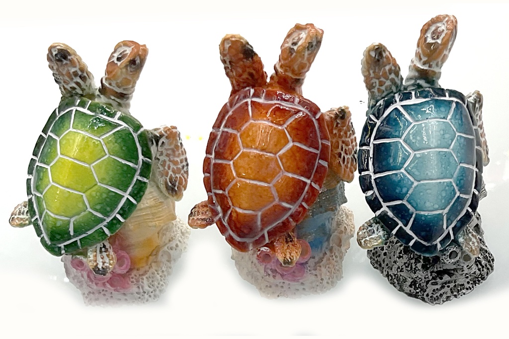 TARTARUGA RESINA C/CORALLO 3 MOD ASS CM 7 