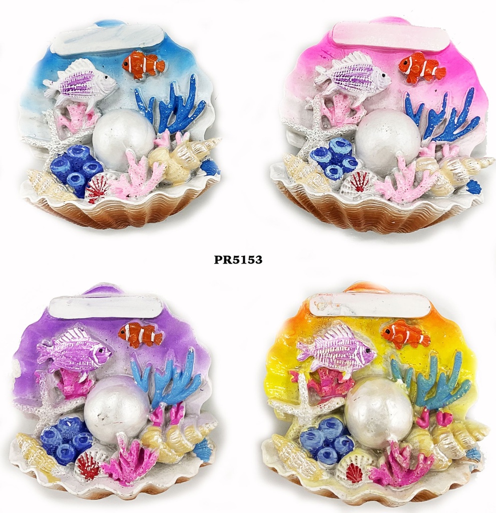 MAGNETE RESINA OVALE 4 COL ASS 