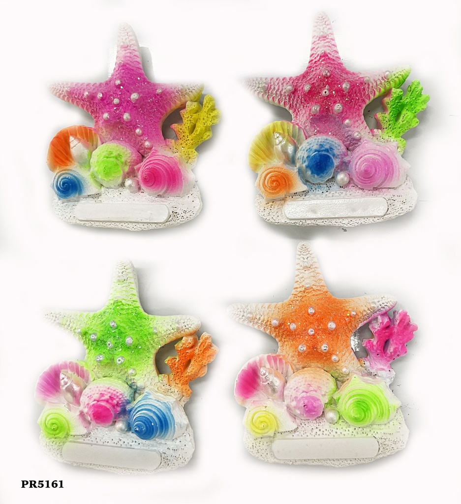 MAGNETE RESINA STELLA MARINA FLUO 4 COL ASS 