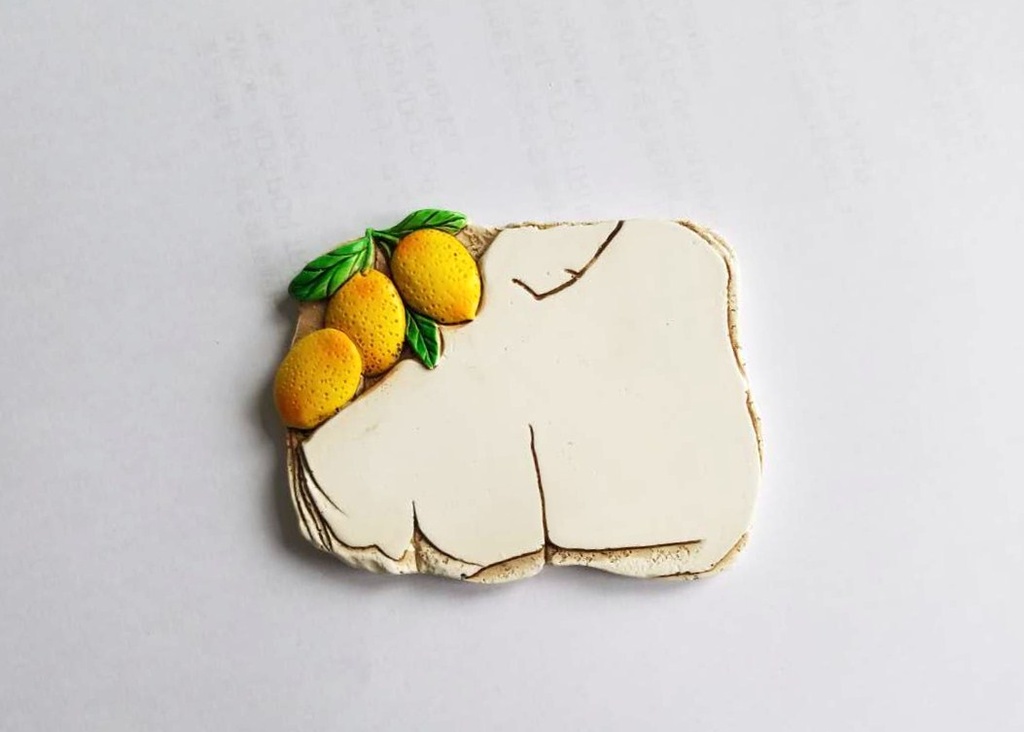 MAGNETE RESINA LIMONI 