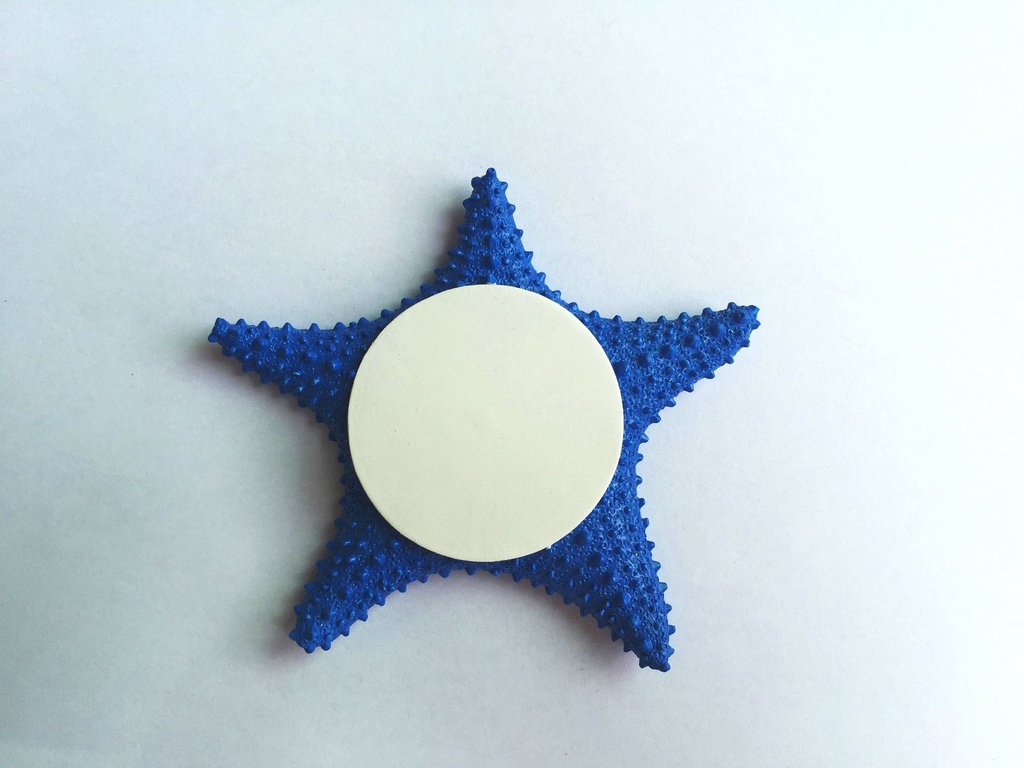 MAGNETE RESINA DA PERS.  STELLA 2 COL ASS 