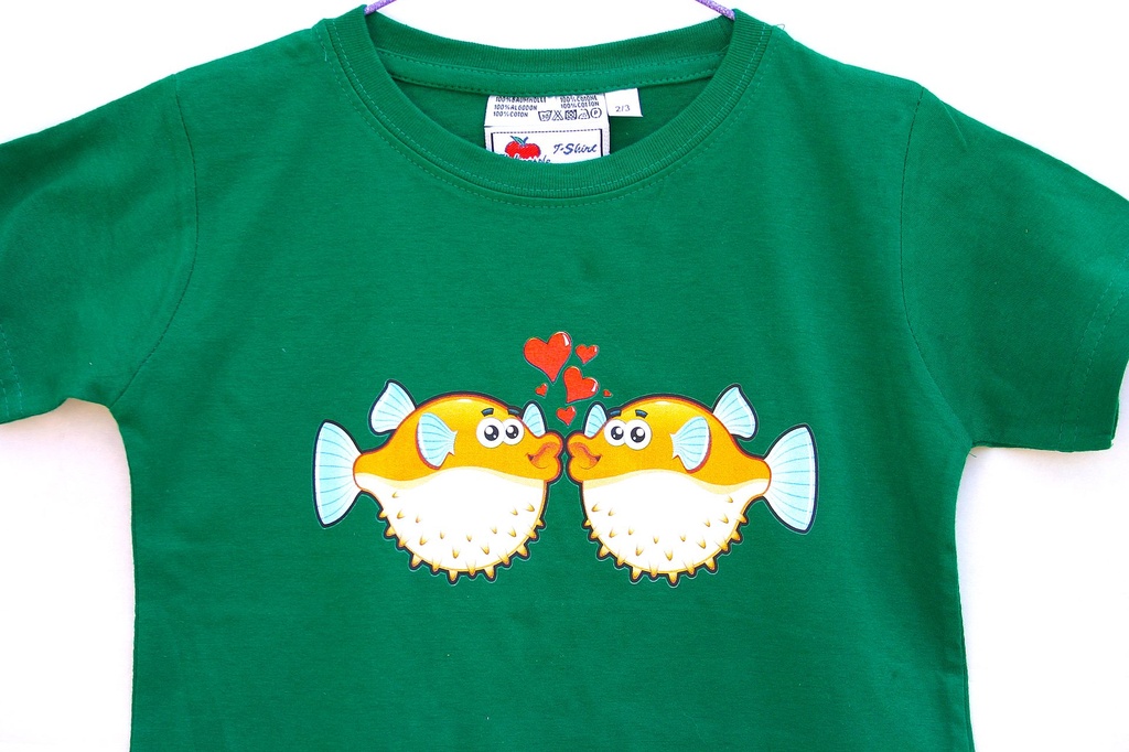 T-SHIRT UOMO/DONNA 100% COTONE DA PERS. 