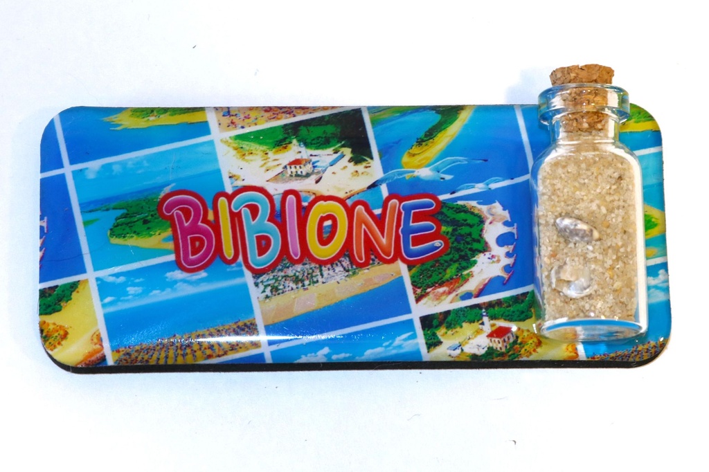 MAGNETE RESINA EPOXY RETT BIBIONE COLLAGE FOTO 