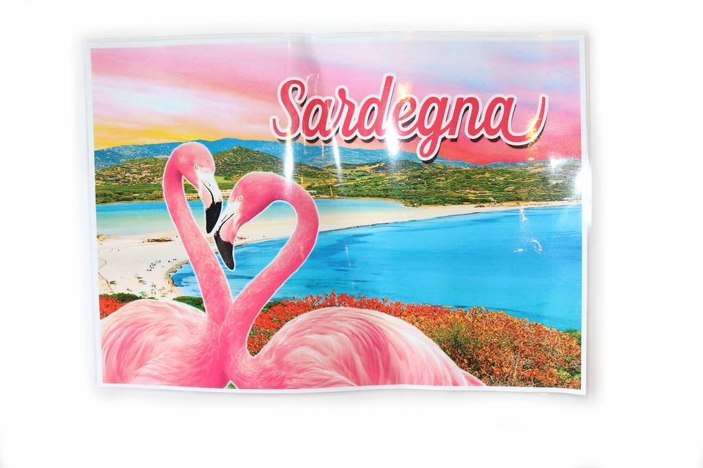 TOVAGLIETTA PLASTIFICATA DA PERS A3 