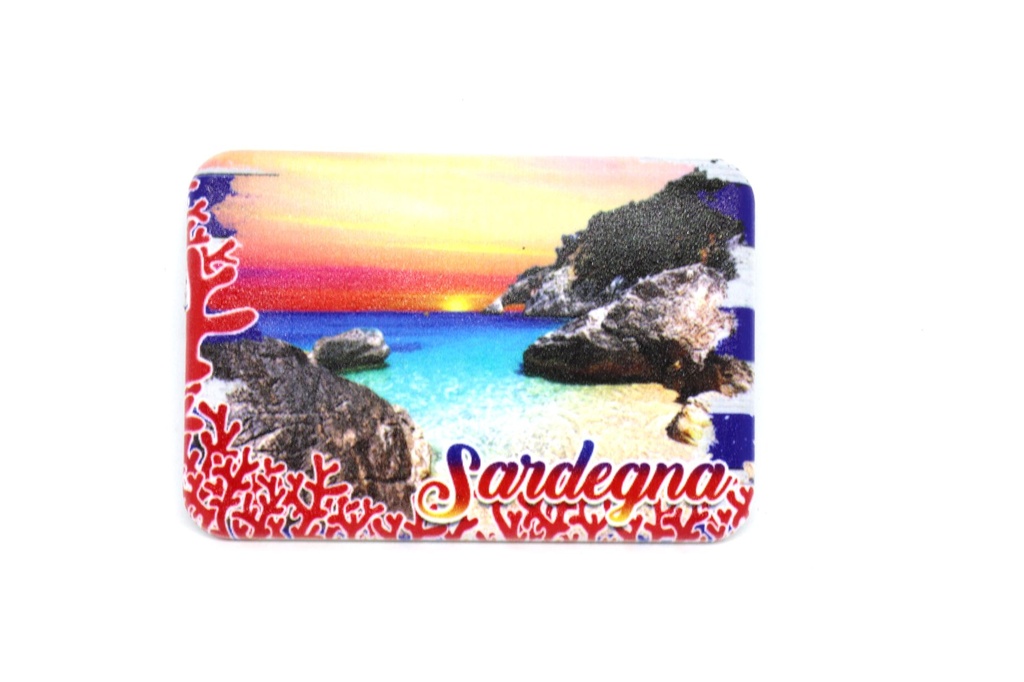 MAGNETE PLASTICA RETTANGOLARE 