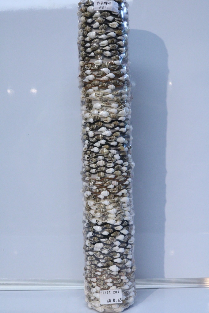 BRACCIALE CORDA E CONCHIGLIA SU TUBO