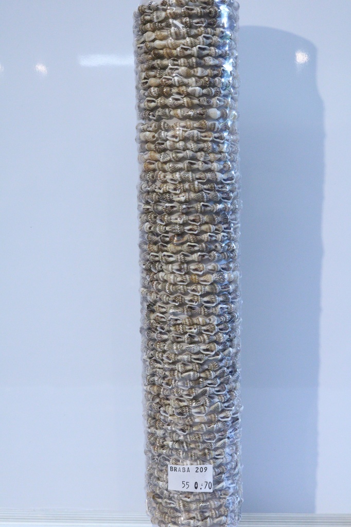 BRACCIALE CORDA E CONCHIGLIA SU TUBO