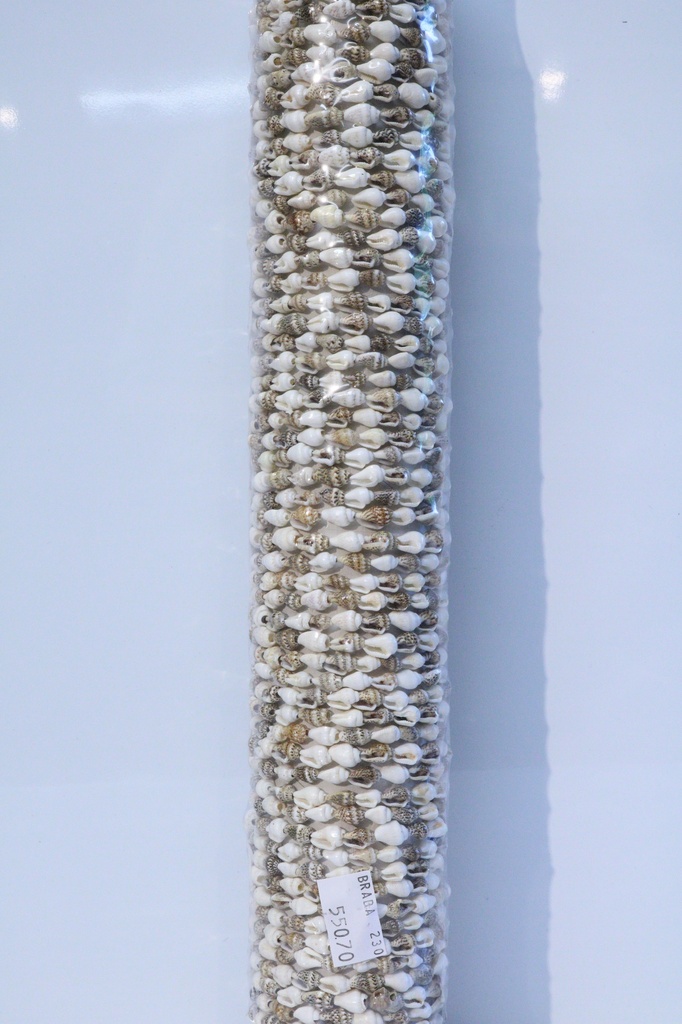 BRACCIALE CORDA E CONCHIGLIA SU TUBO