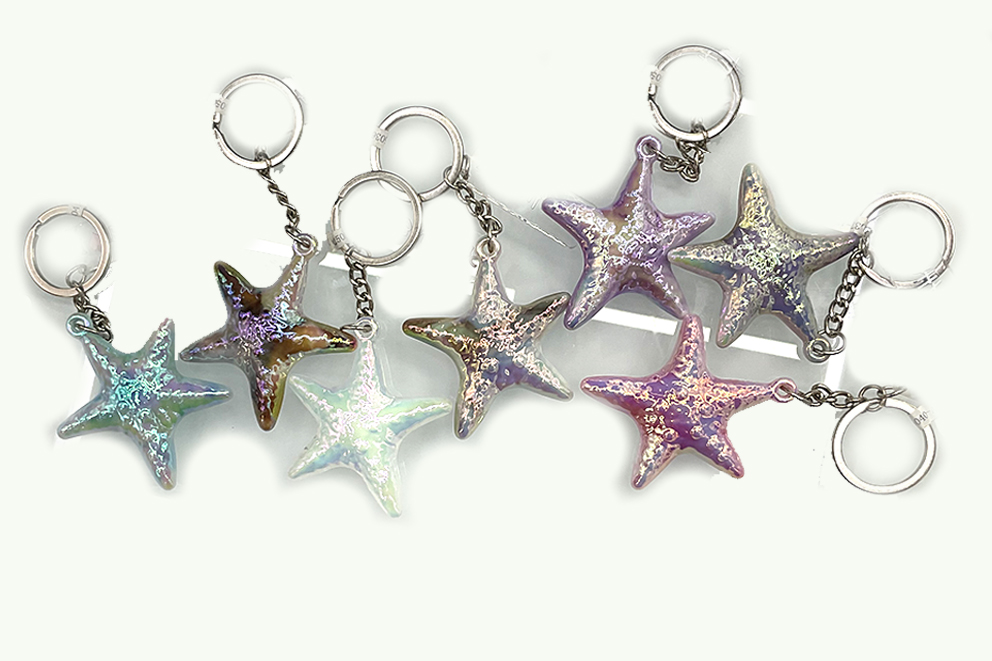 PORTACHIAVE PLASTICA STELLA PERLATA 6 COL ASS